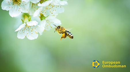 Bees